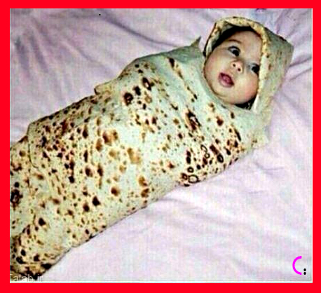 غذای_خوشمزه14.jpg (458×418)