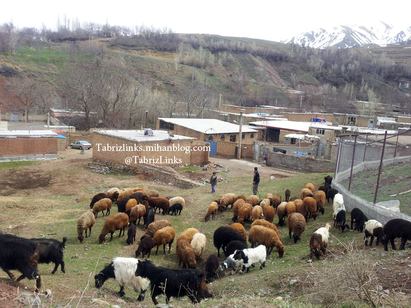 آذربایجانگردی