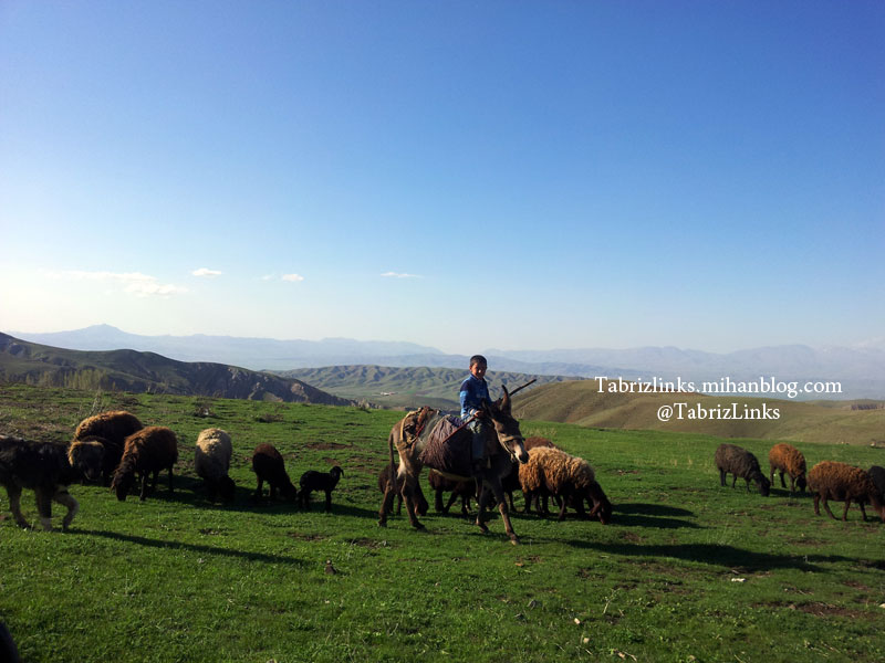 کوهستان
