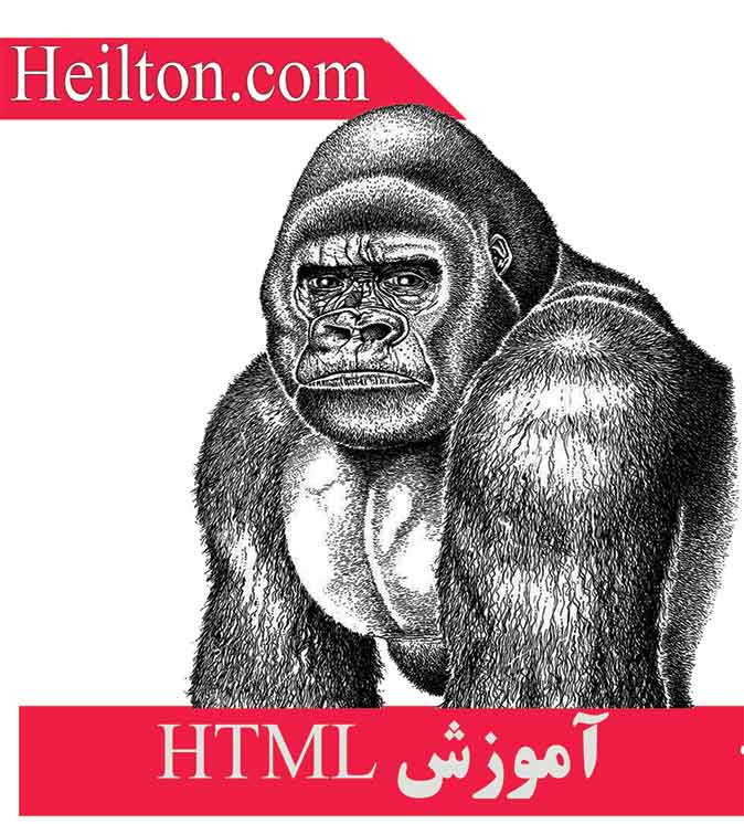 آموزش Html & Html5