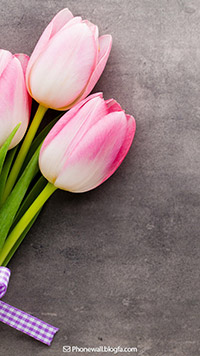 والپیپر گل برای موبایل