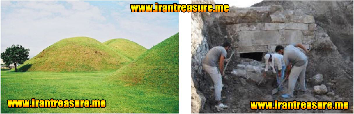 http://s8.picofile.com/file/8297587876/htumulus951.JPG