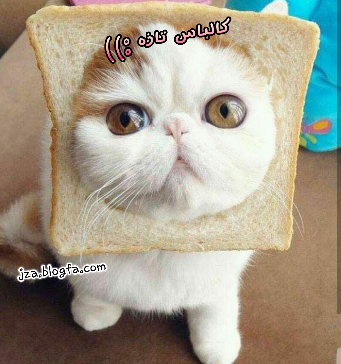 کالباس