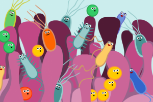 Microflora Microflora