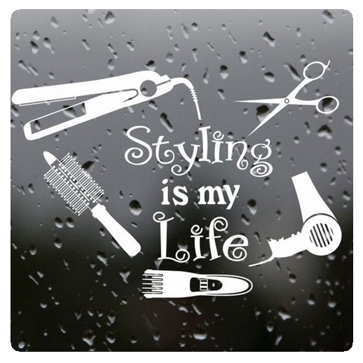 http://s8.picofile.com/file/8298388318/BARBER_91_.jpg