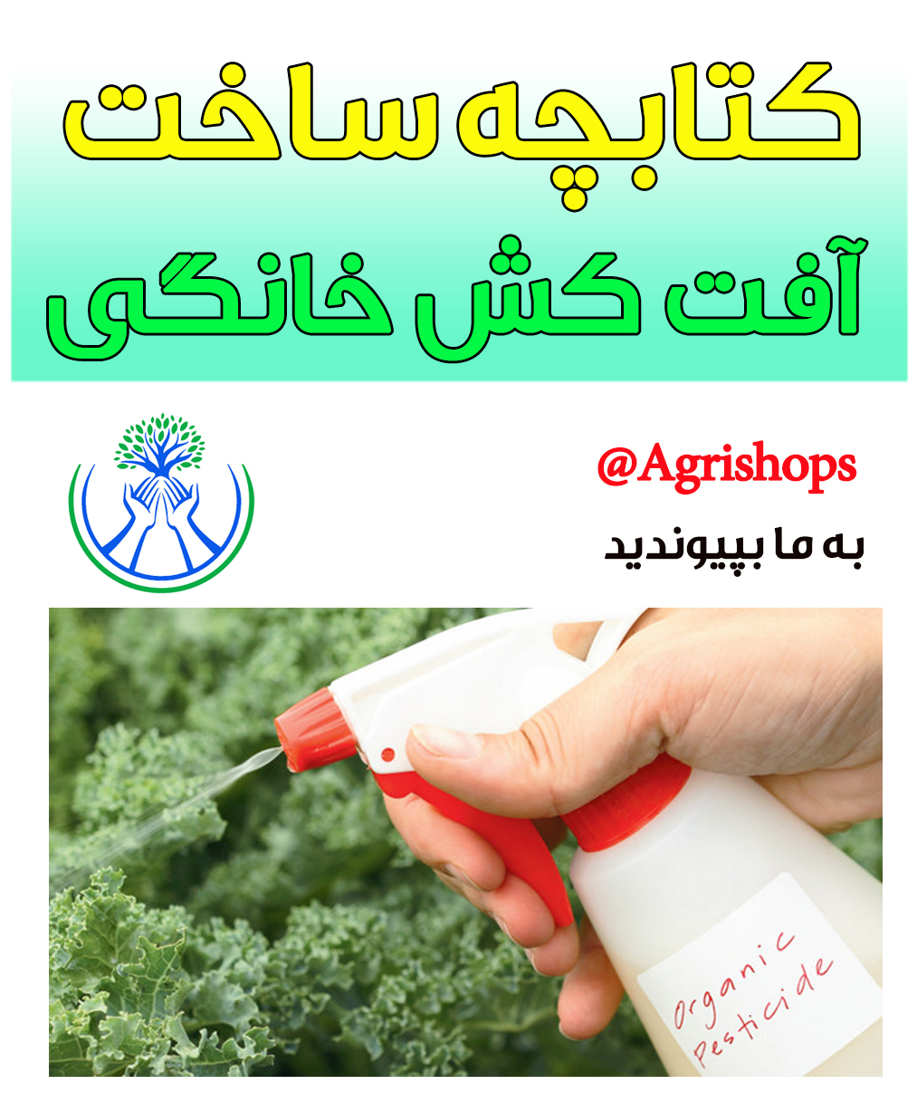 فیزیولوژی حشرات