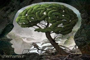دستگاه تحلیلی سالم ، منبع : http://mahfeladabi.com/post/9377 دستگاه تحلیلی سالم