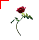 http://s8.picofile.com/file/8298720450/maws1.png