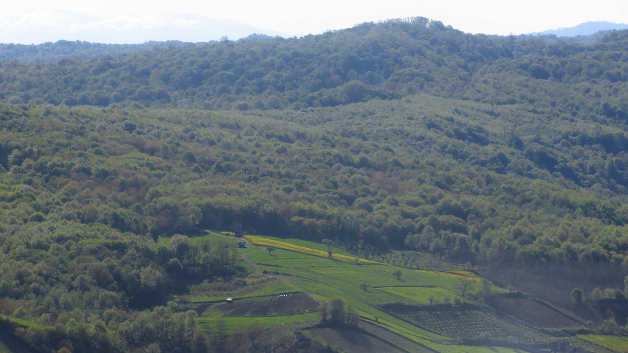 1_5_.jpg (2000×1124)