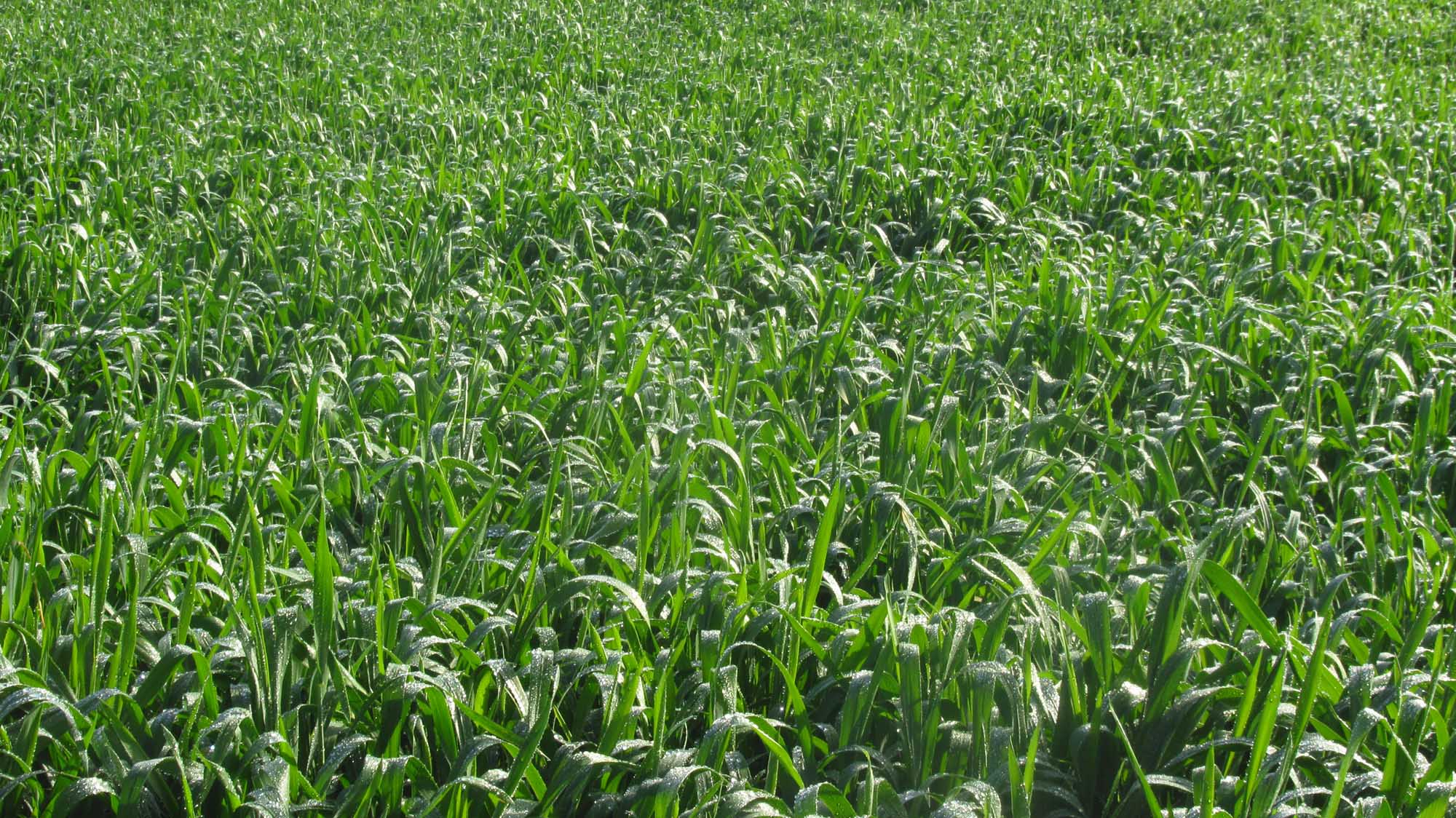 1_13_.jpg (2000×1124)