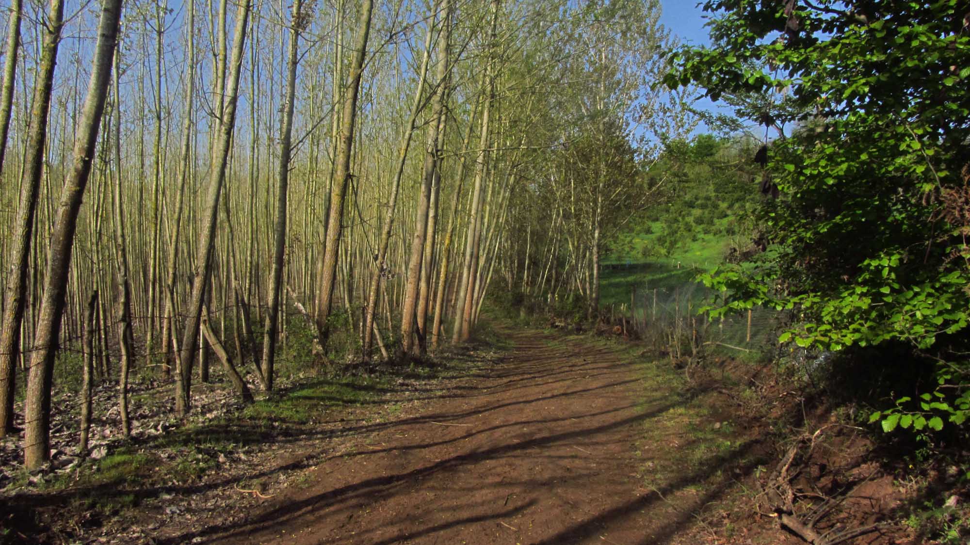 1_19_.jpg (2000×1124)