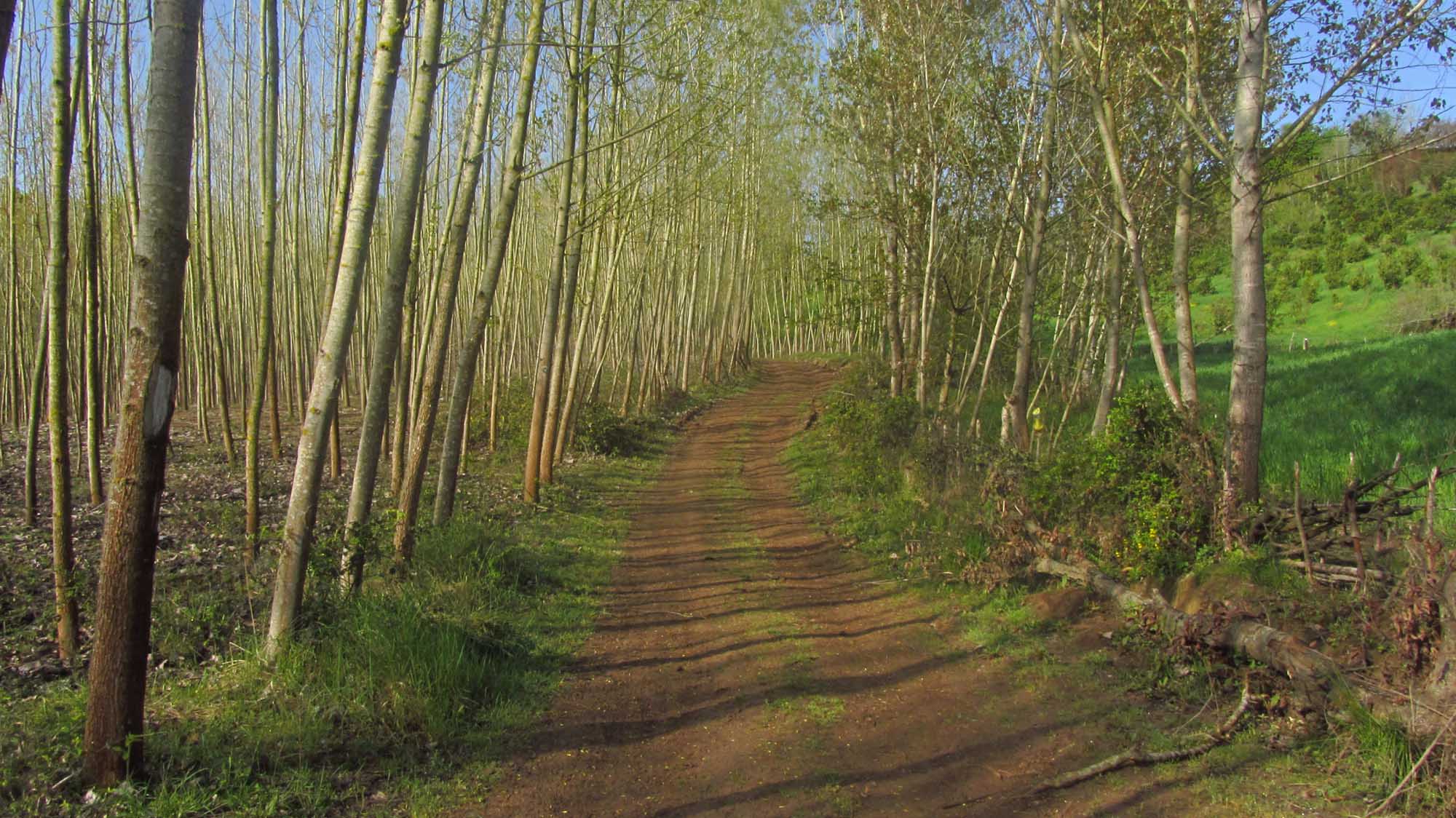 1_20_.jpg (2000×1124)