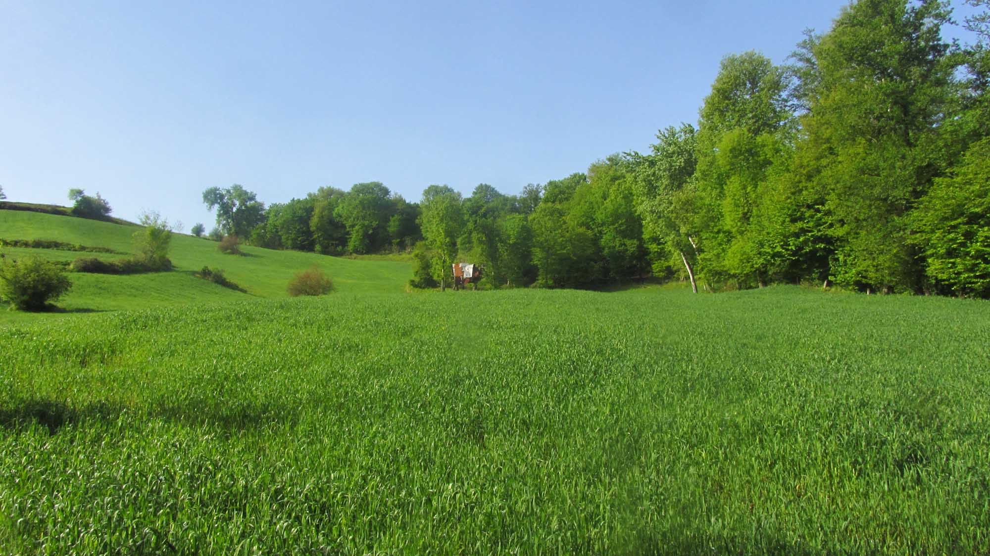 1_24_.jpg (2000×1124)