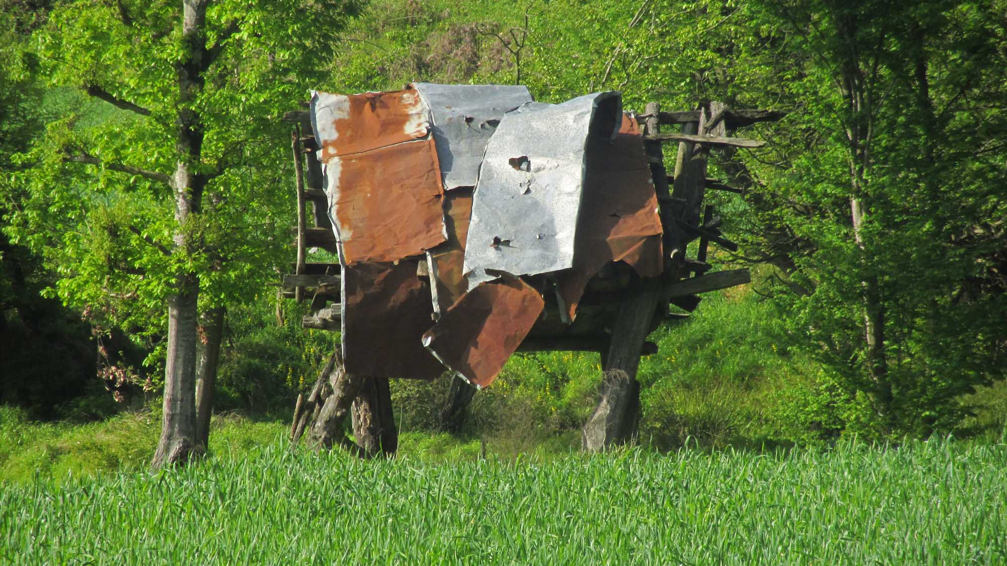 1_25_.jpg (2000×1124)