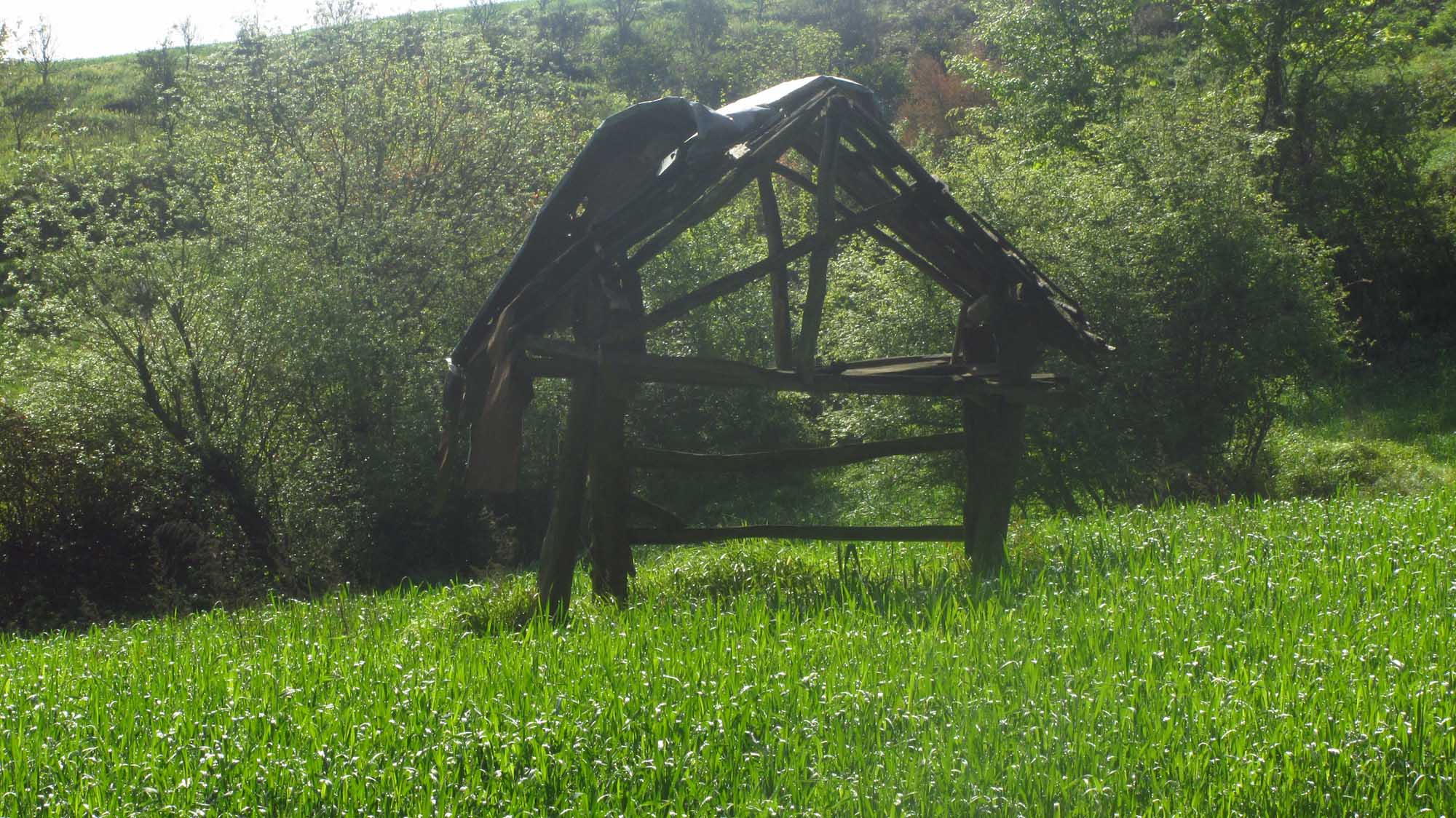 1_27_.jpg (2000×1124)