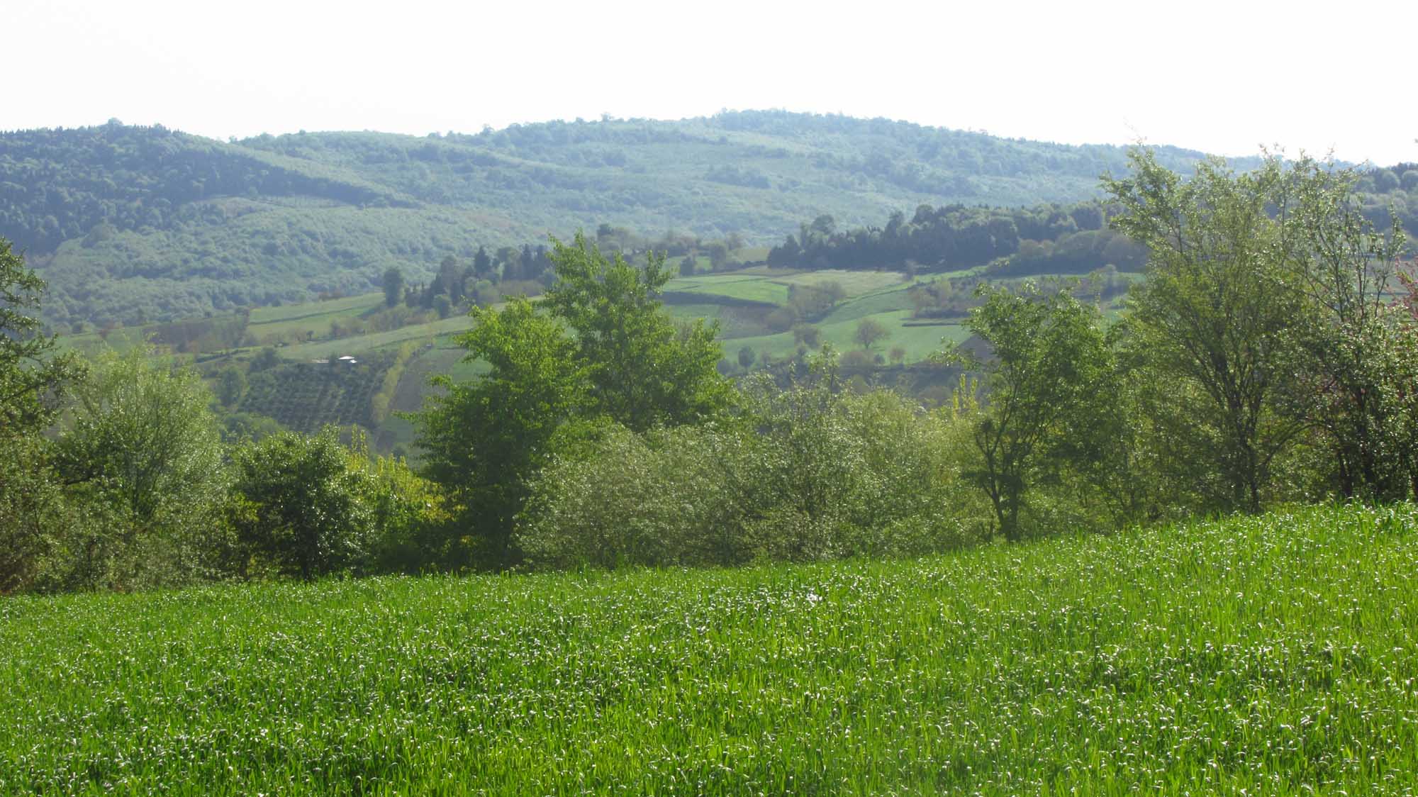 1_30_.jpg (2000×1124)