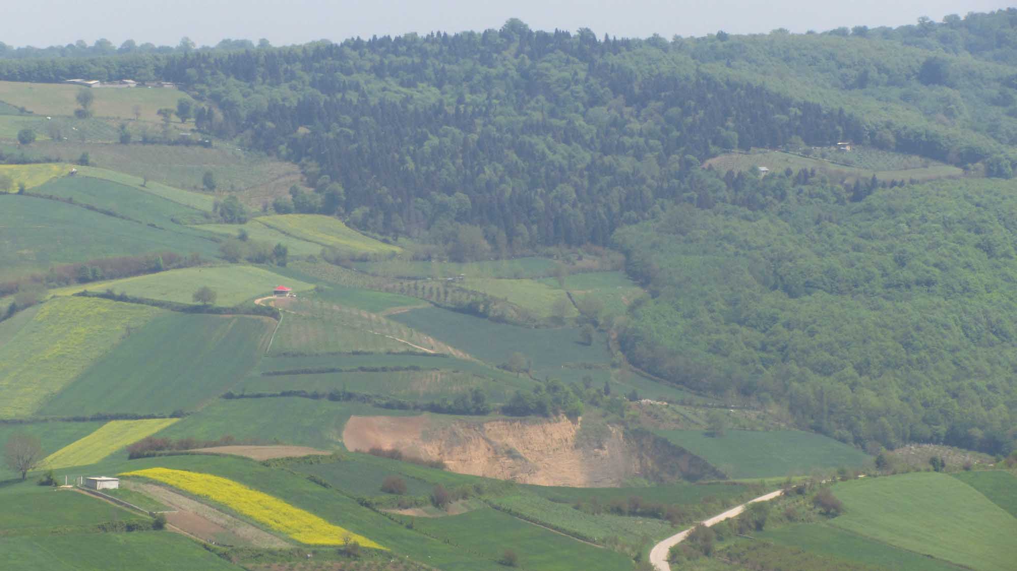 1_32_.jpg (2000×1124)