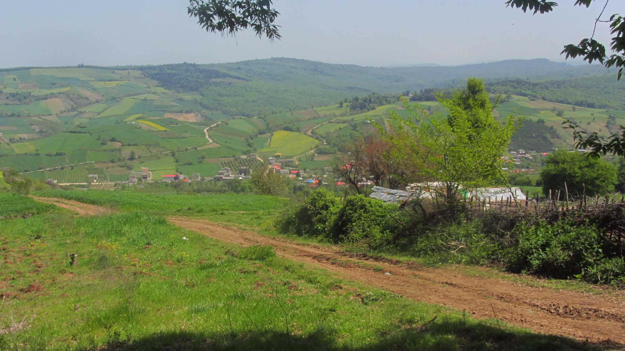 1_35_.jpg (2000×1124)