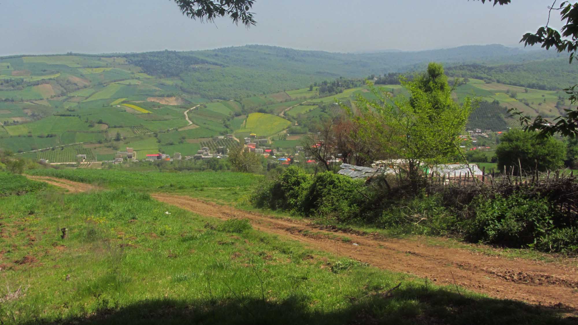 1_36_.jpg (2000×1124)