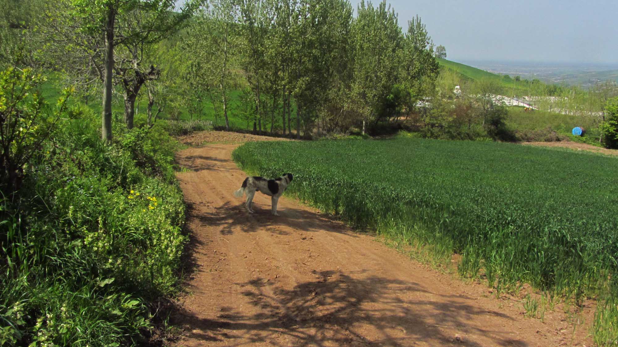 1_37_.jpg (2000×1124)