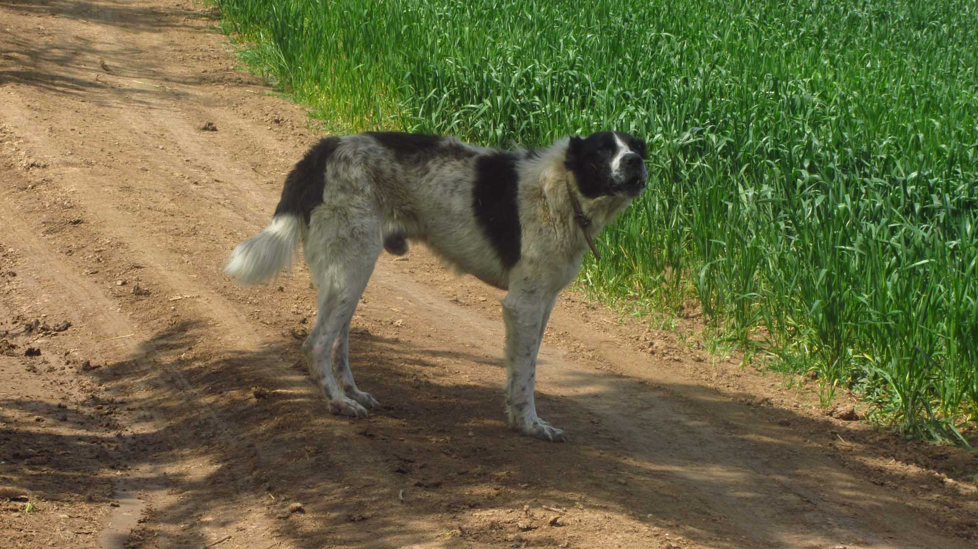 1_38_.jpg (2000×1124)