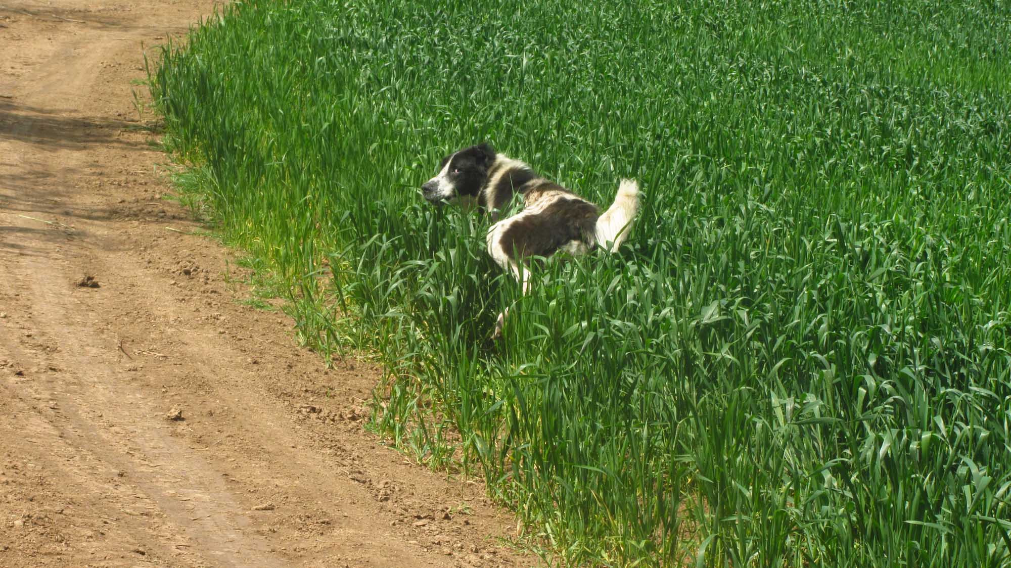 1_39_.jpg (2000×1124)