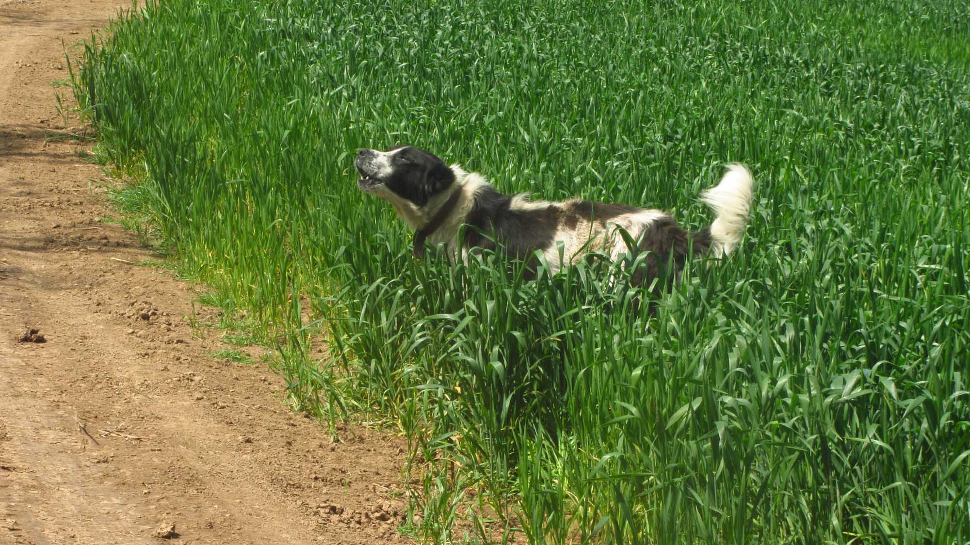 1_40_.jpg (2000×1124)