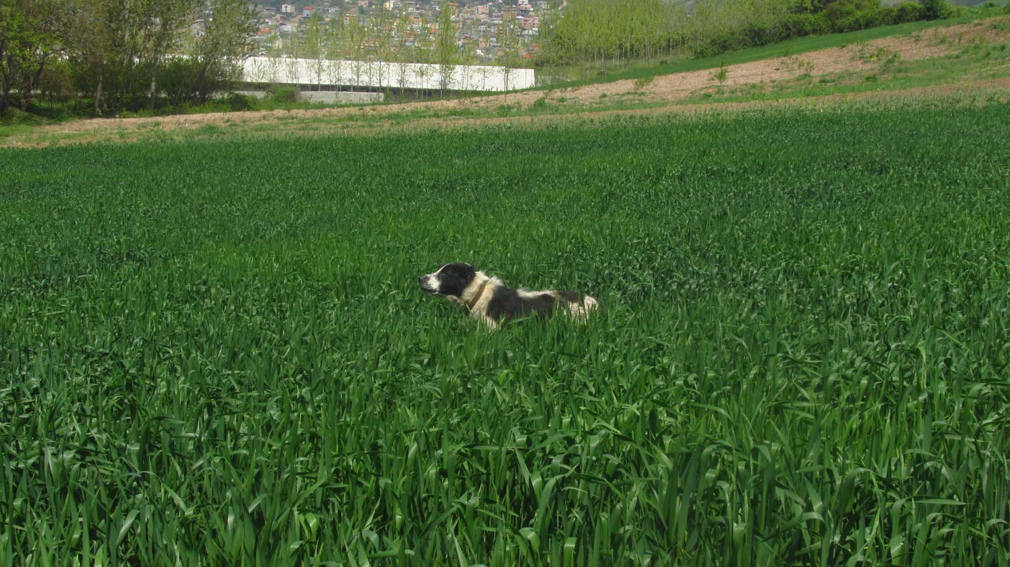 1_44_.jpg (2000×1124)