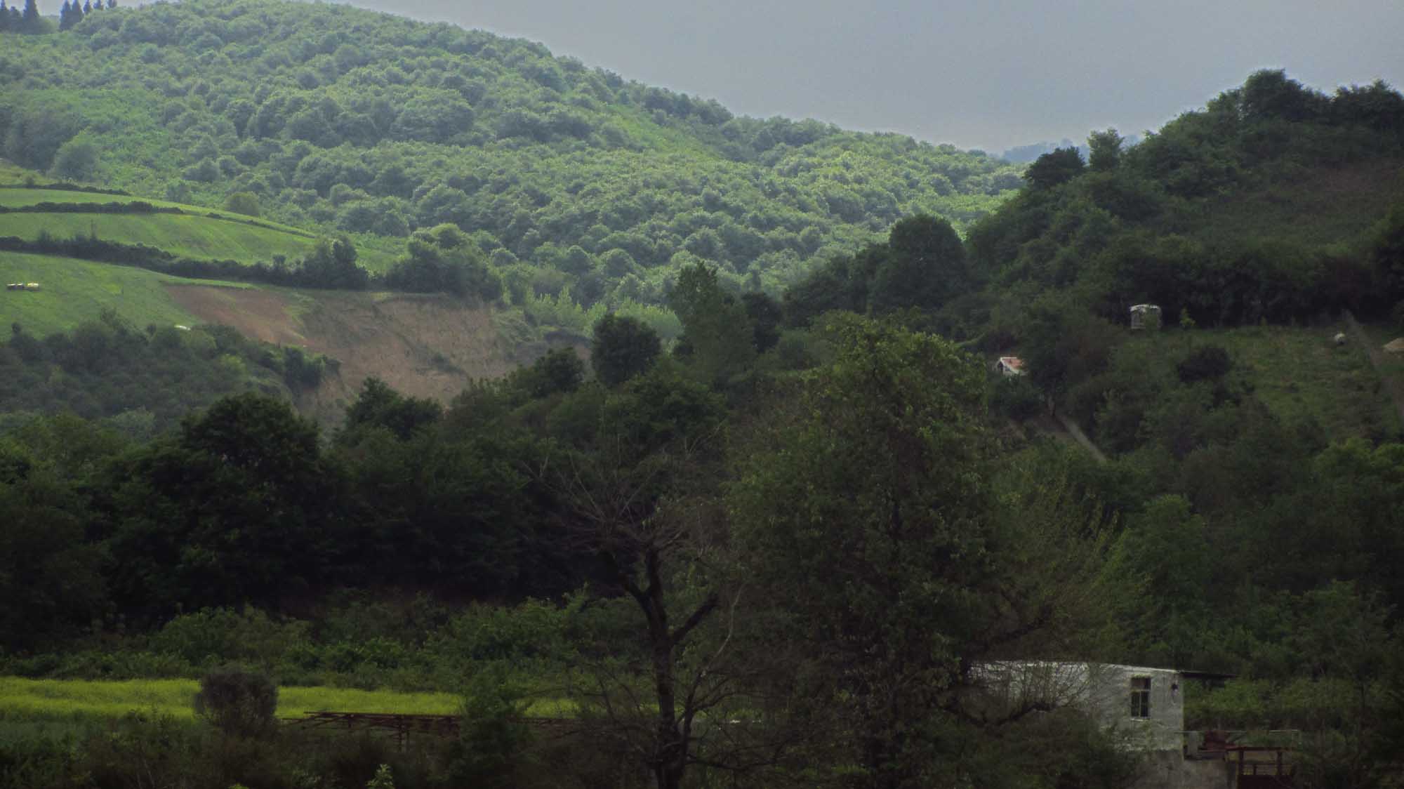 1_46_.jpg (2000×1124)