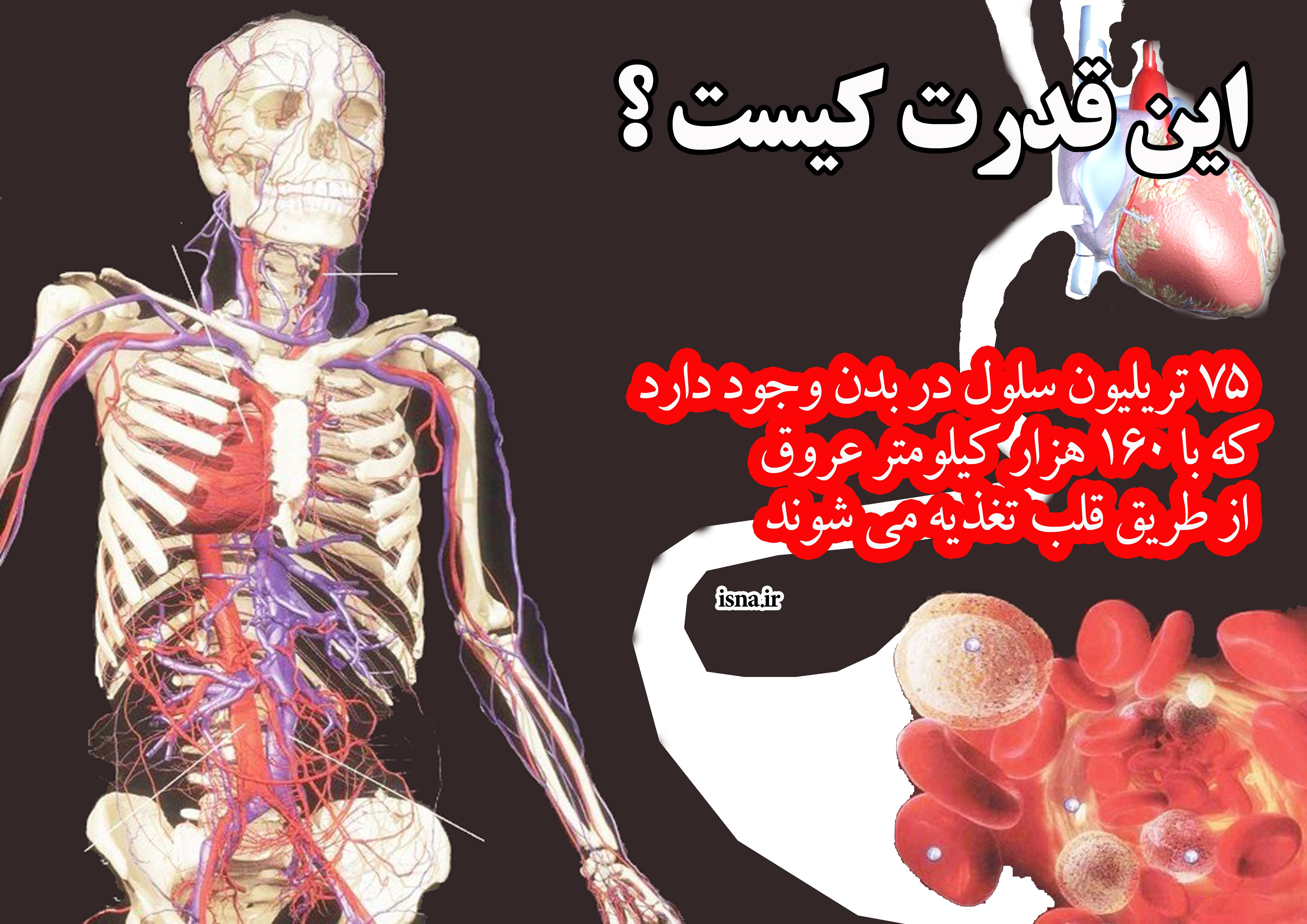 برهان نظم