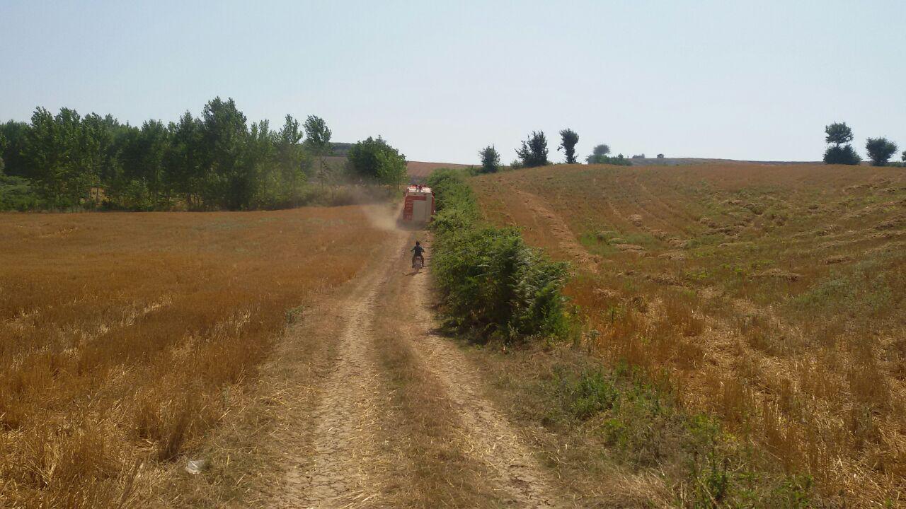 1_7_.jpg (1280×720)