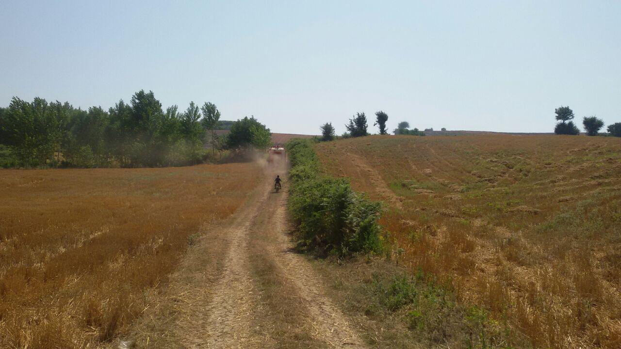 1_8_.jpg (1280×720)