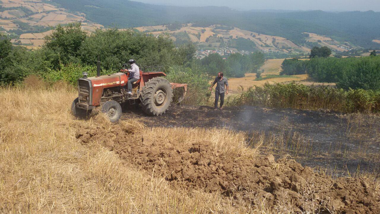 1_9_.jpg (1280×720)