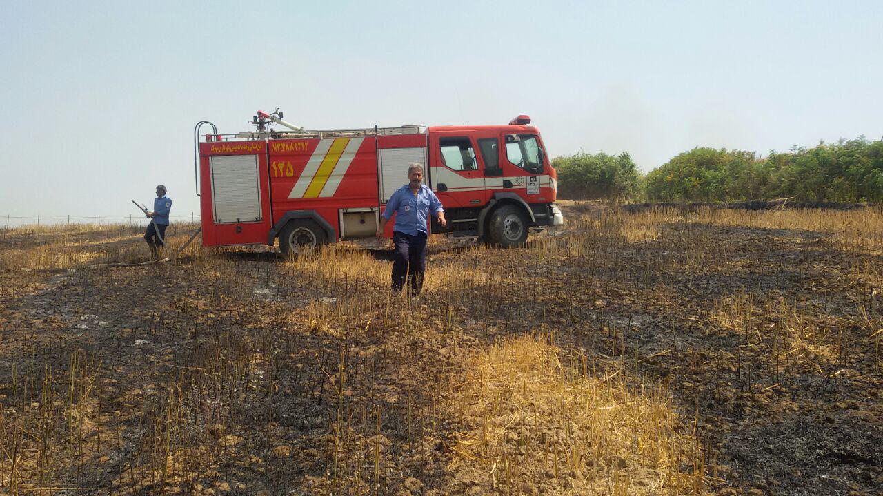 1_13_.jpg (1280×720)