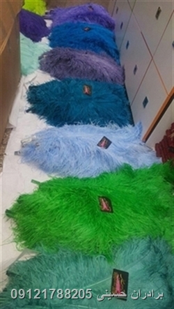 پرشترمرغ