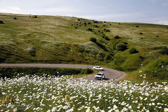 نمین