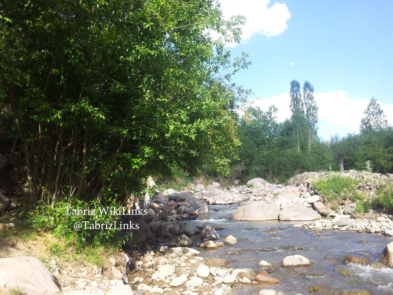 مرکز گل محمدی