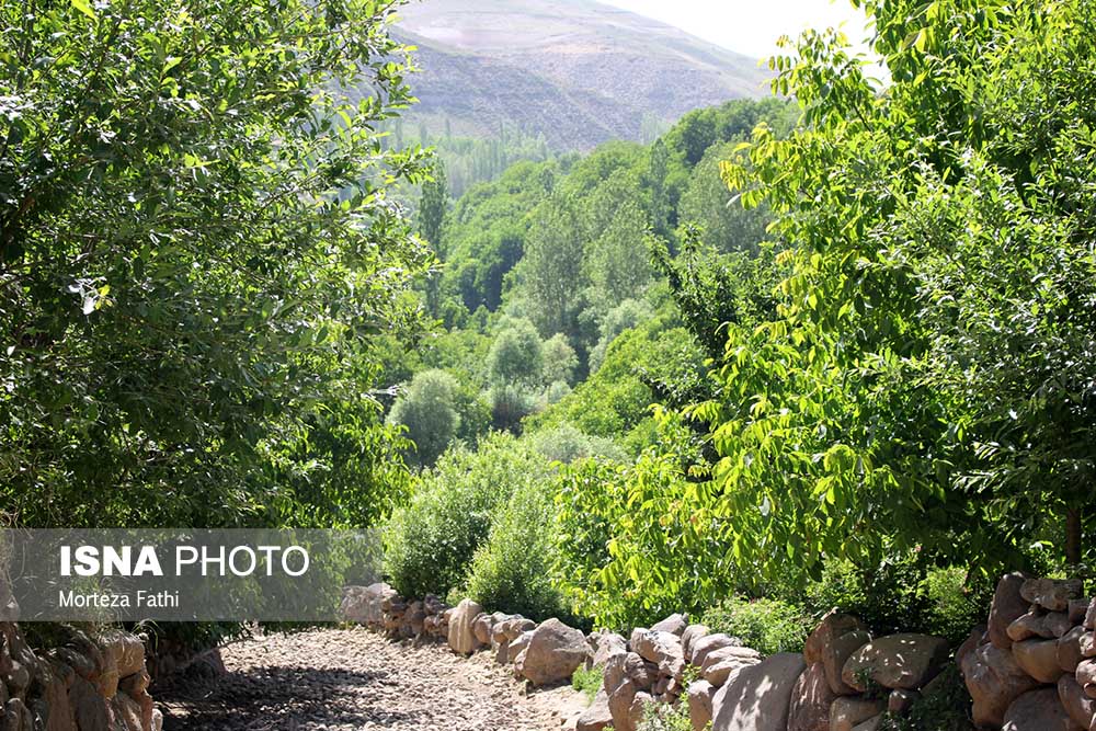 گونبر اسکو