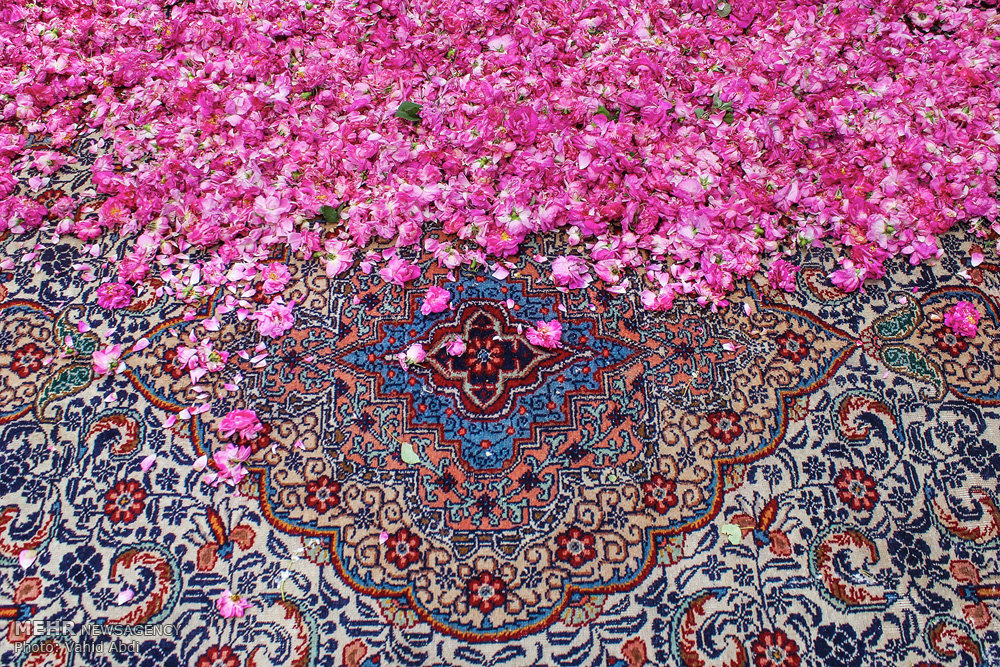 تبریز