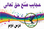 عجایبِ صُنعِ حق تعالی