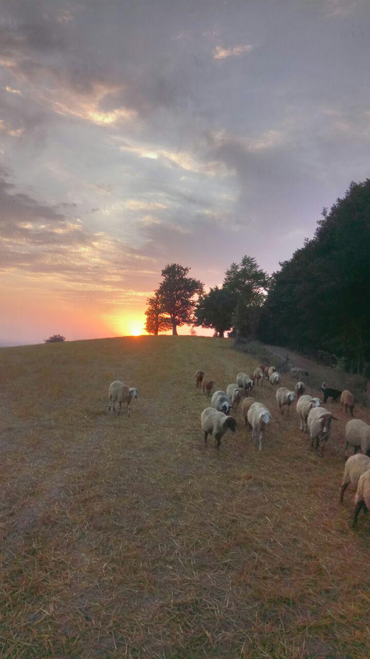 1_1_.jpg (720×1280)