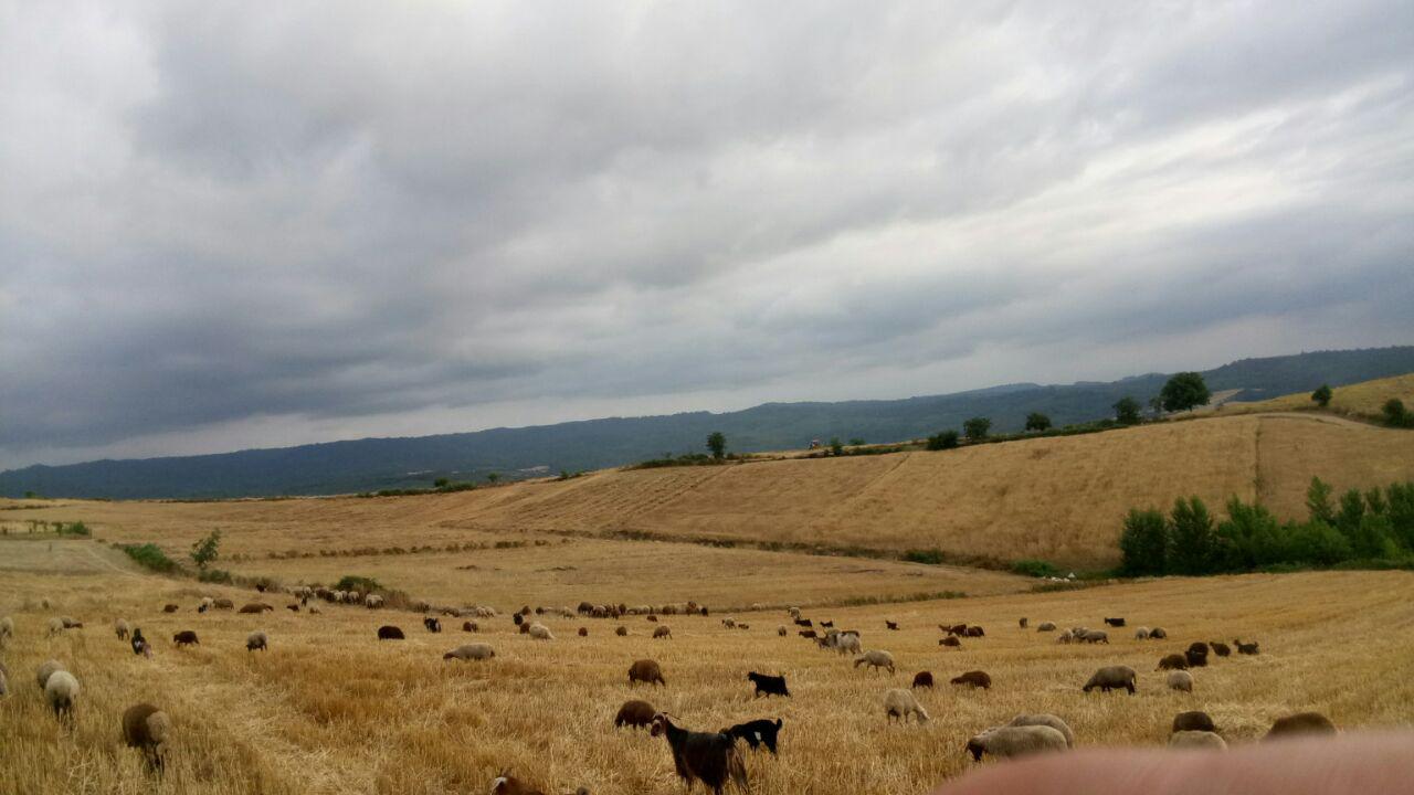 1_3_.jpg (1280×720)