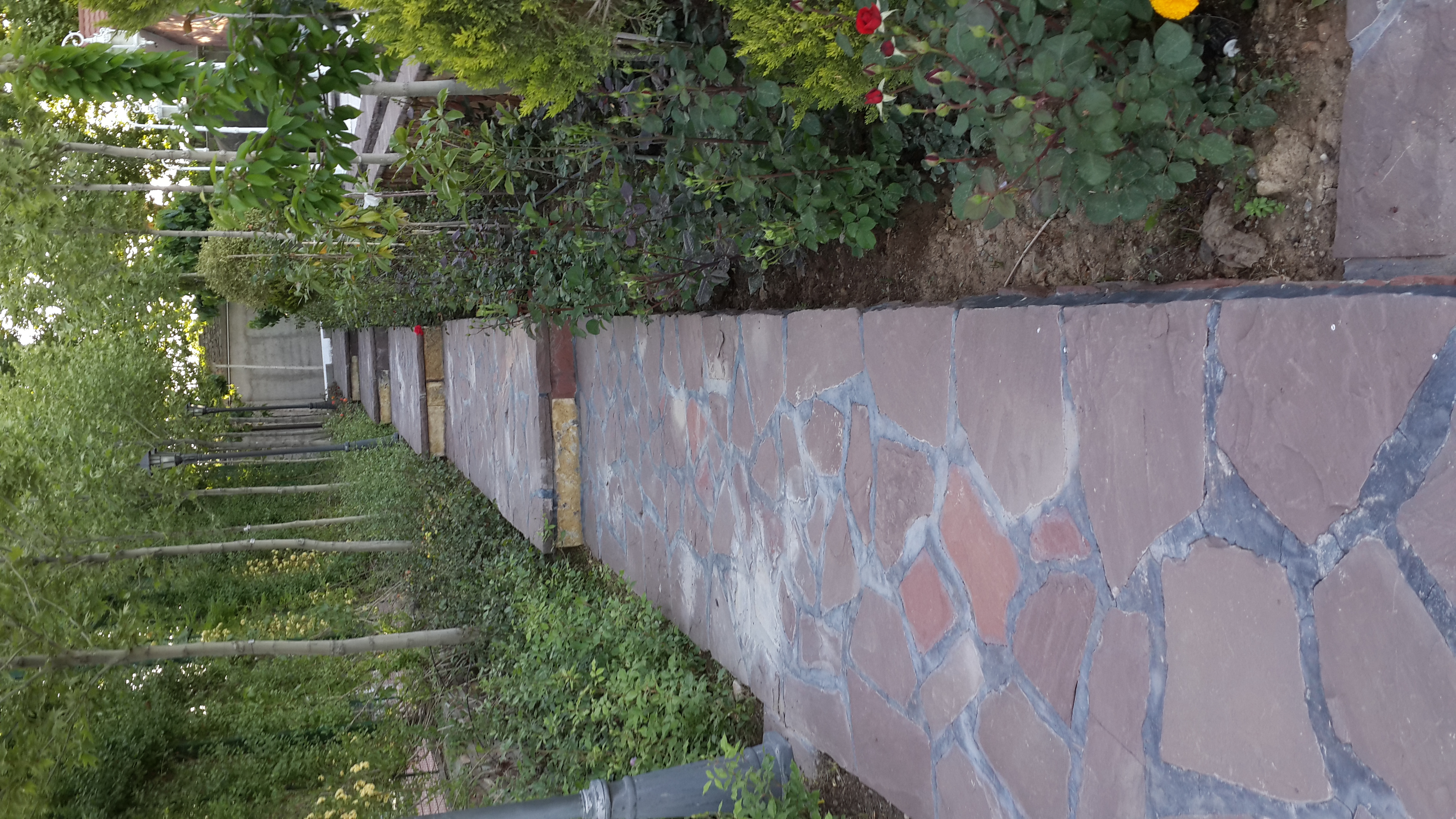 اجرای کف به صورت چکوشی پیمانکاری سنگ مالون جوینده .نصب سنگ لاشه.سنگ کوهی .سنگ ورقه ای تماس باجوینده 09124026545 09125067712