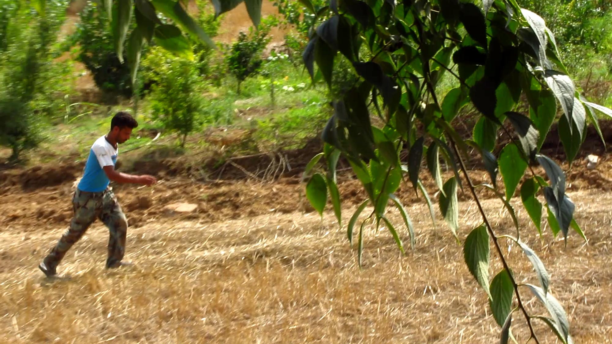 1_15_.jpg (2000×1125)