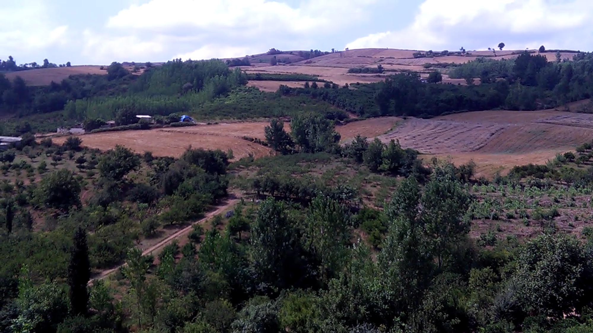 1_24_.jpg (2000×1125)