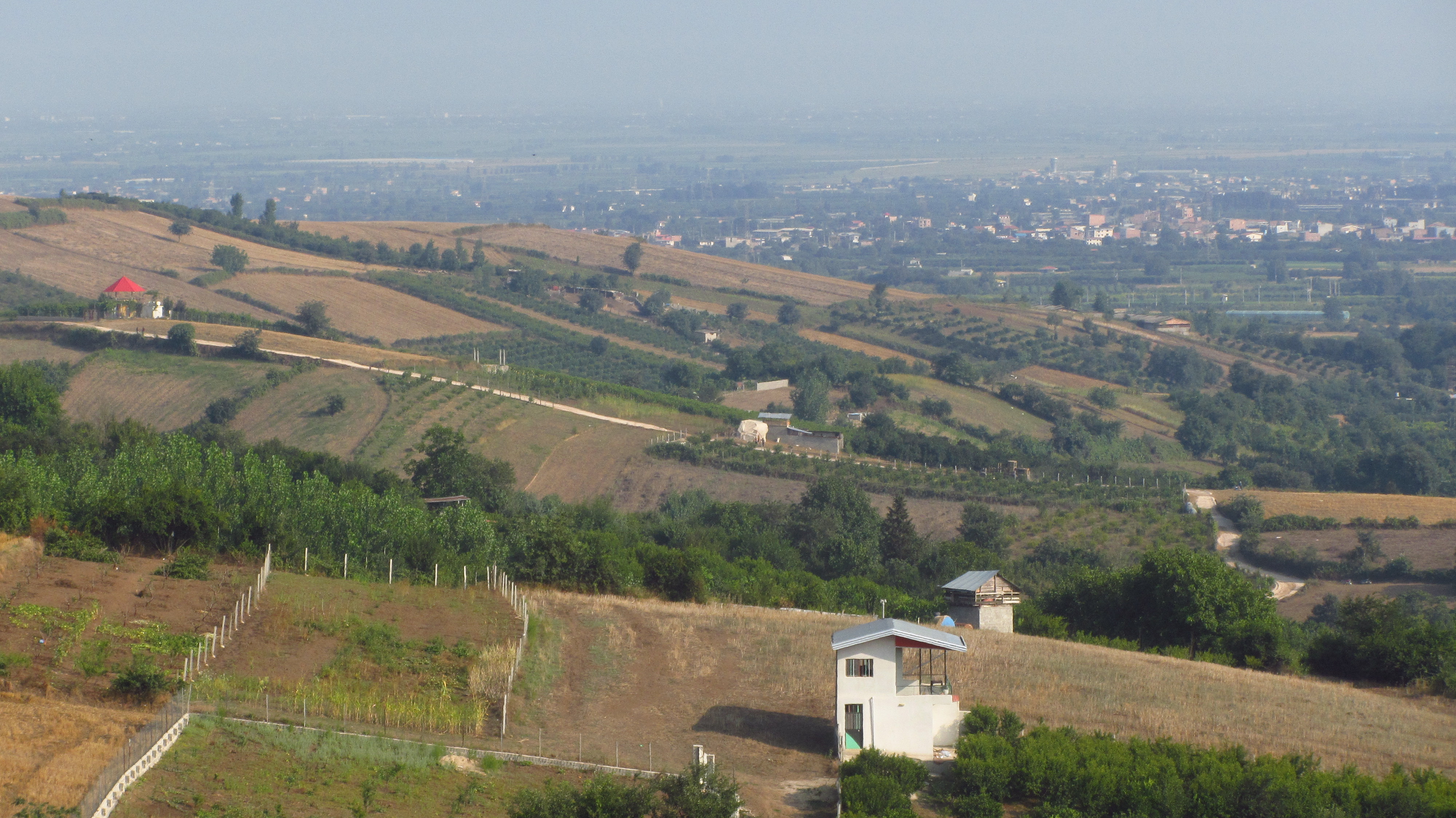 1_27_.JPG (4000×2248)