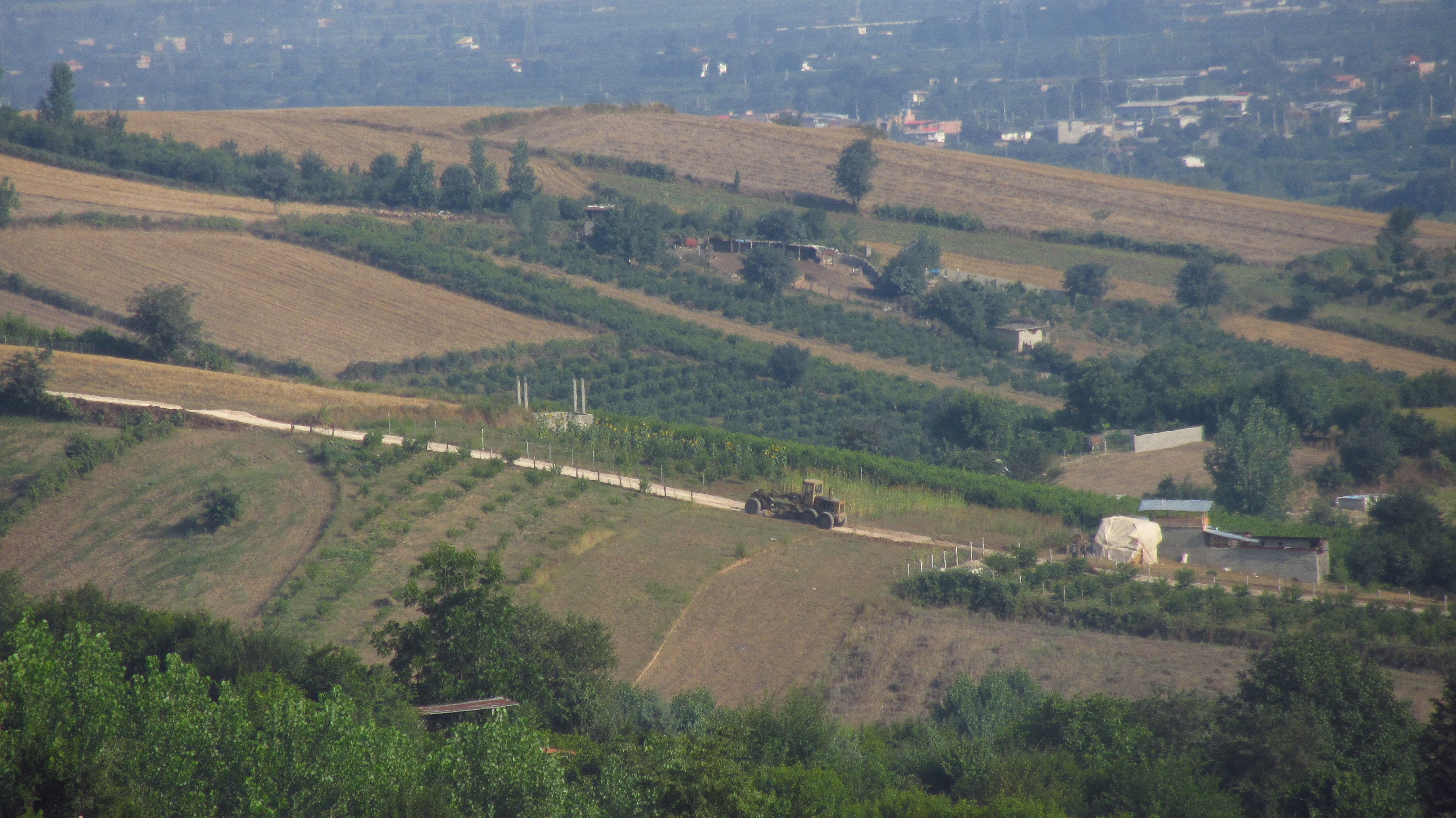 1_29_.JPG (4000×2248)