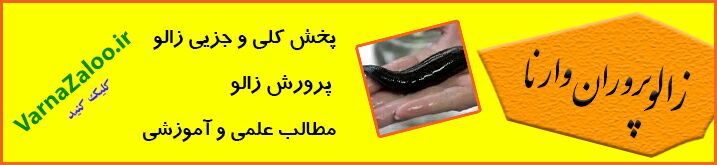 	 <strong>فواید</strong> <strong><strong>زالو</strong></strong> و زالو <strong>درمانی</strong>