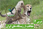 حفاظت از زیستگاه های ایران
