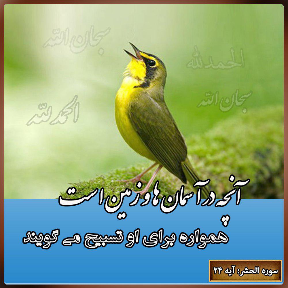 تسبیح